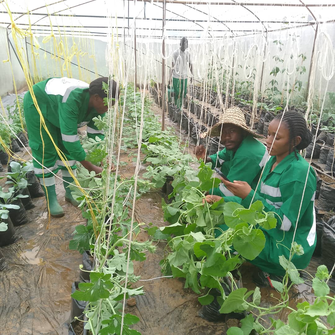 Complete and Integrated Training