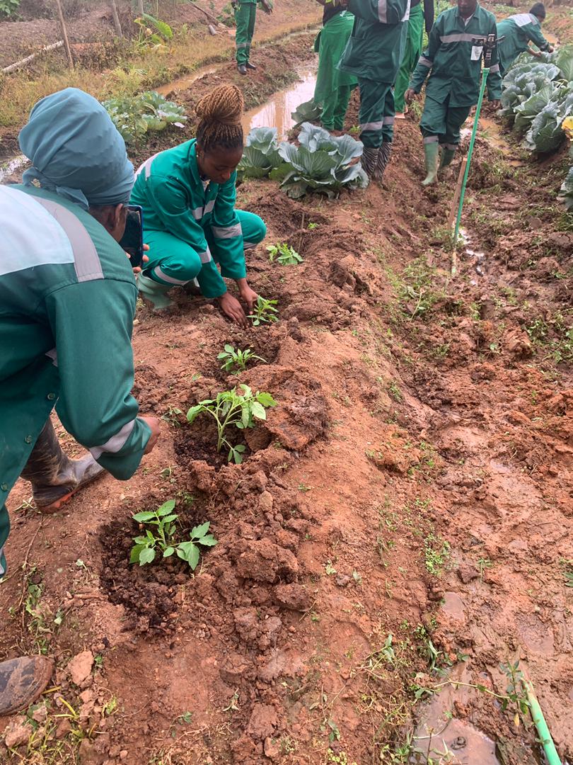 🌱 Where Future Farmers Grow: Hands-On Learning at CEFPREPAS