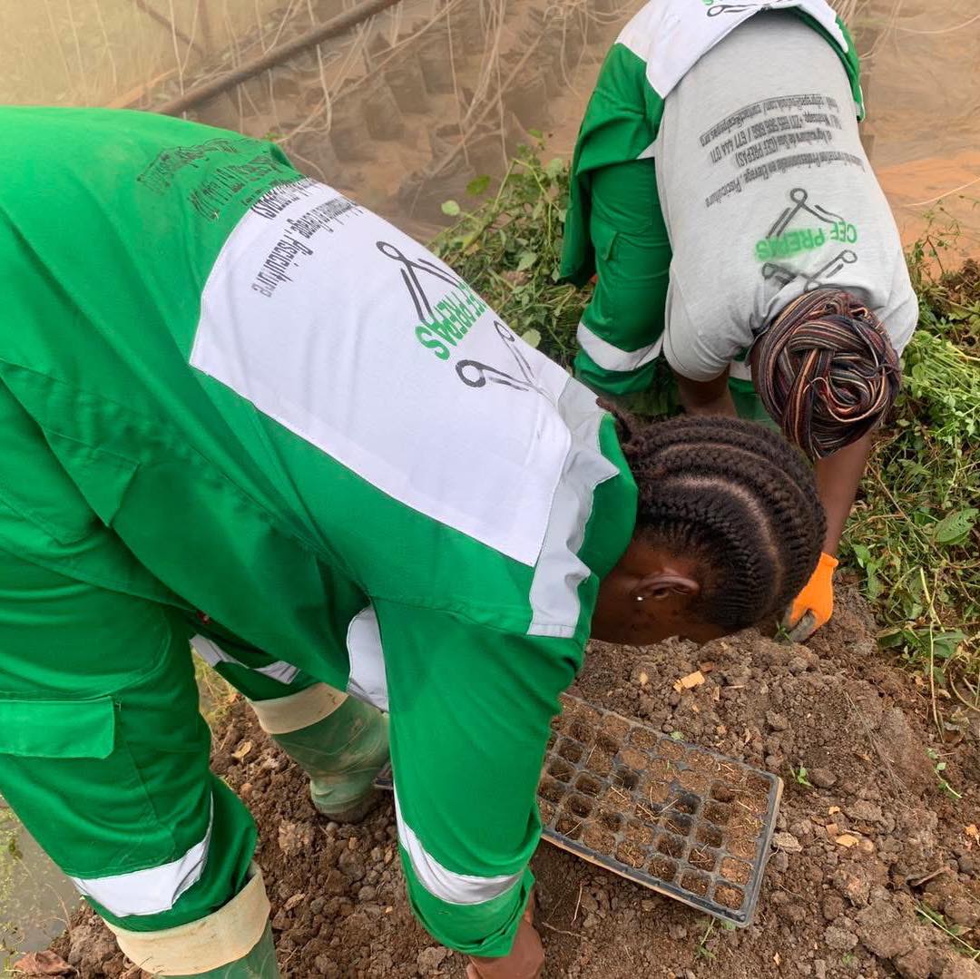 🌱 Your Future in Agriculture Starts Here