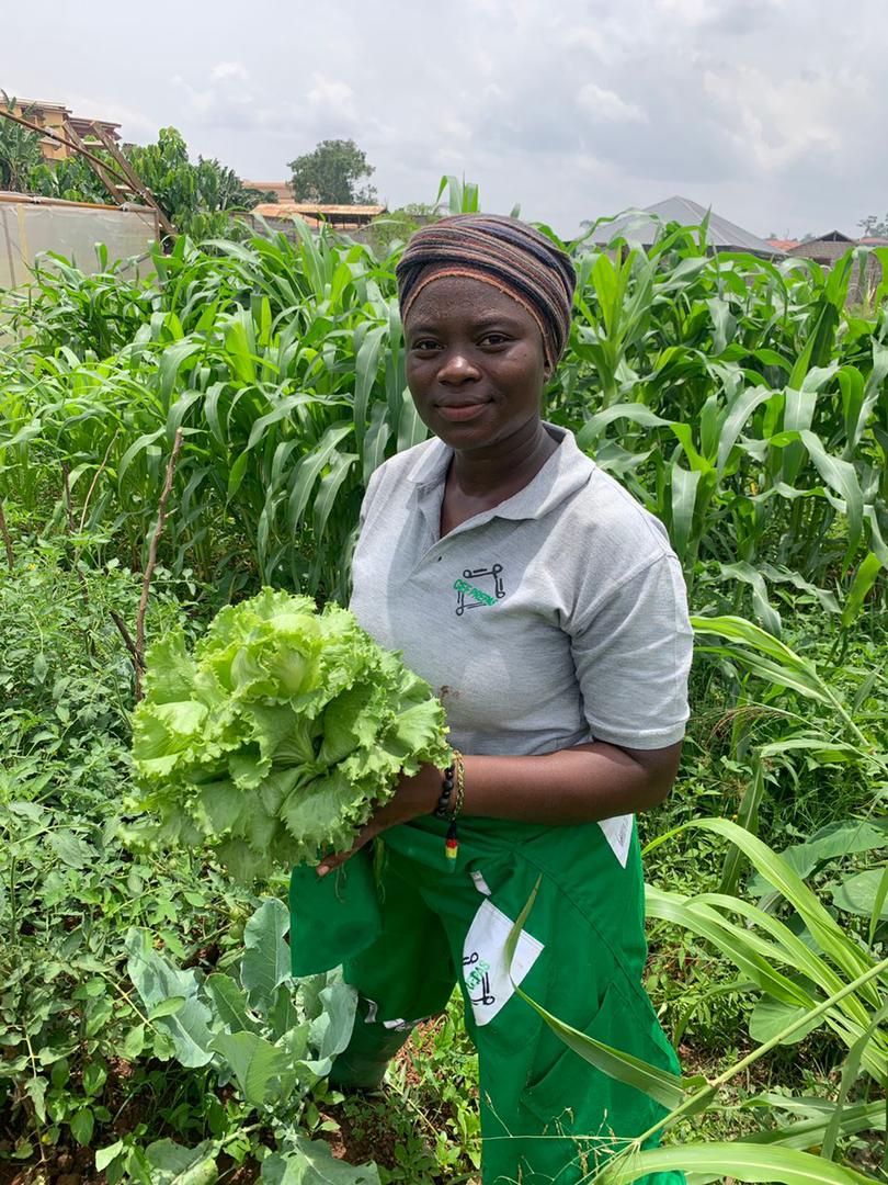 BETE CLEMENTINE SANDRINE